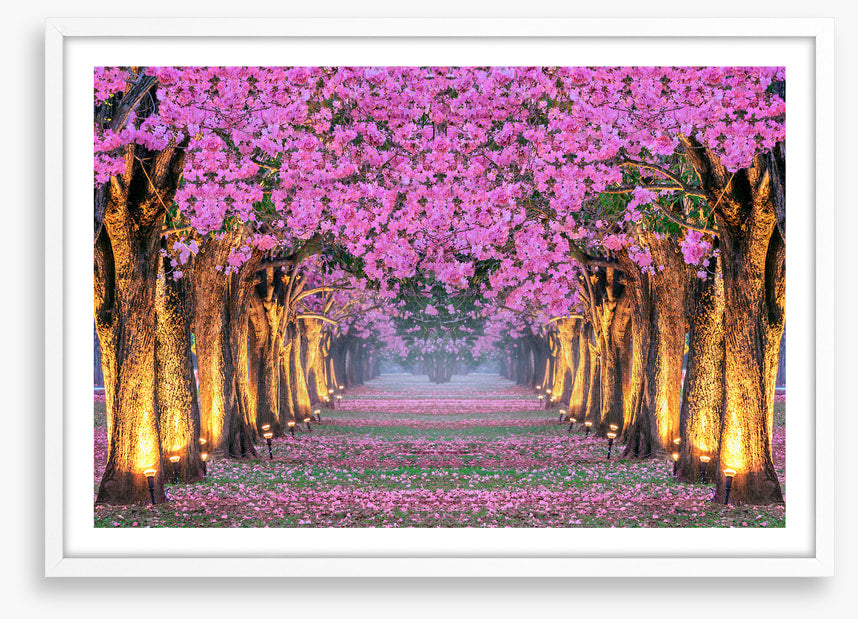 Tunnel of blossom