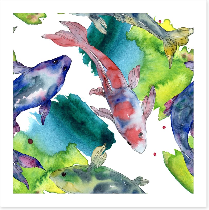 Aquatica