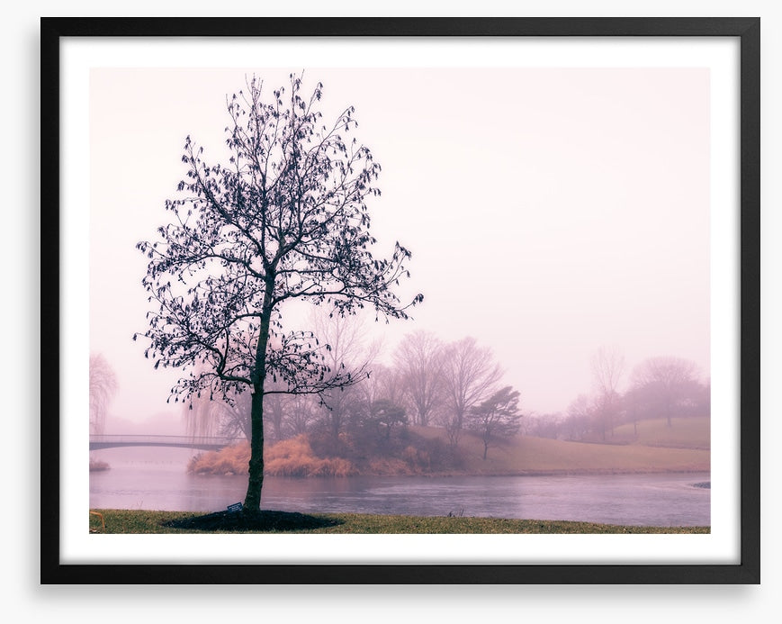 By the misty lake