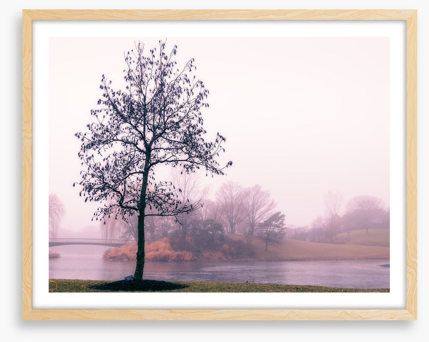 By the misty lake