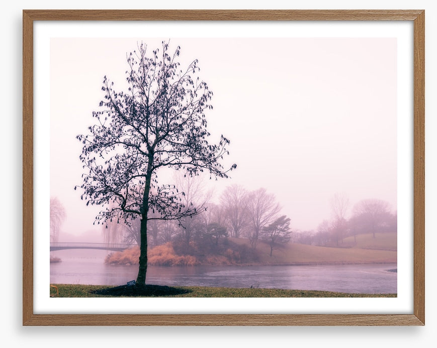 By the misty lake