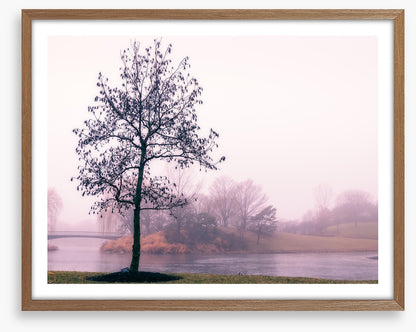 By the misty lake