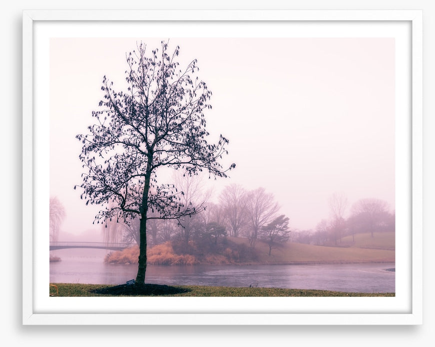 By the misty lake