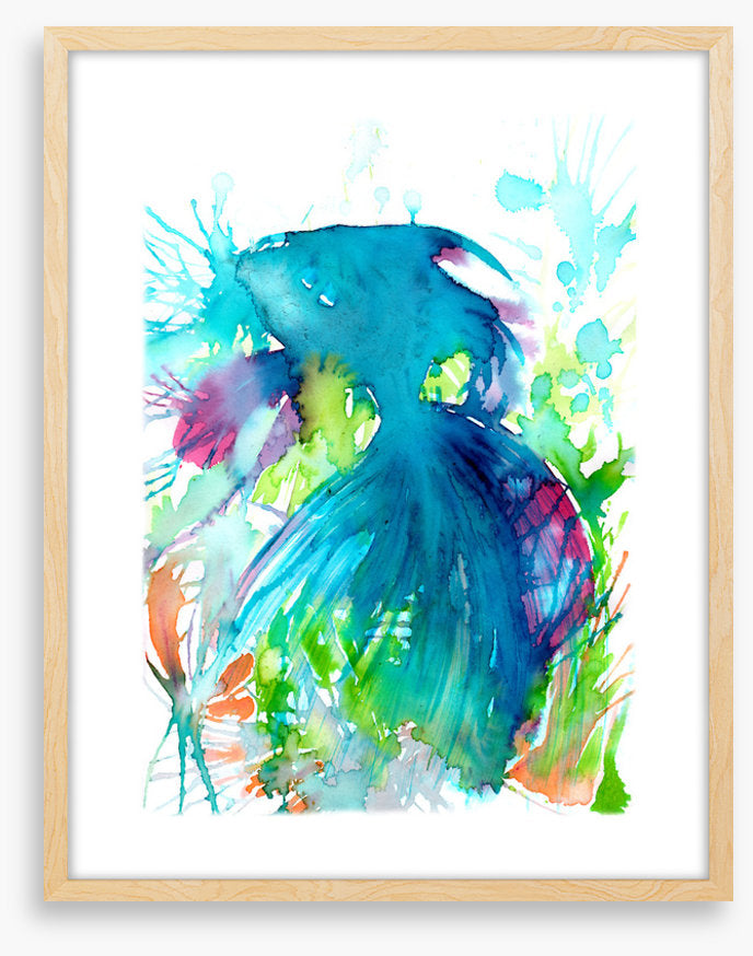 Aquaria