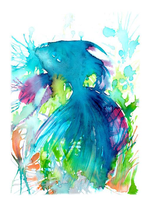 Aquaria