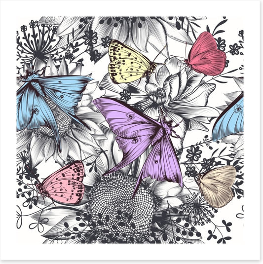 Butterflies