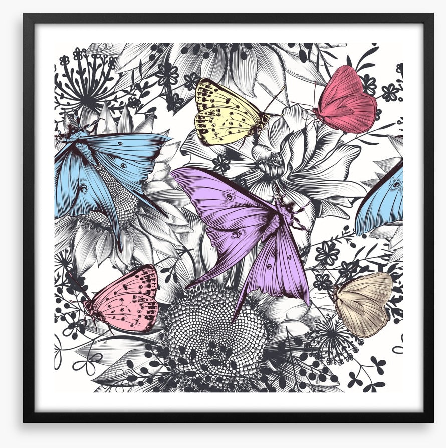 Butterflies