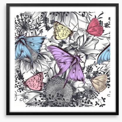 Butterflies