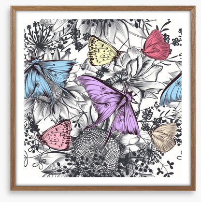 Butterflies