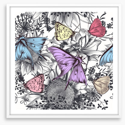 Butterflies