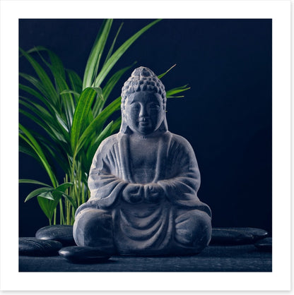 Midnight meditation