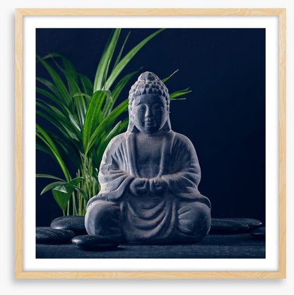Midnight meditation