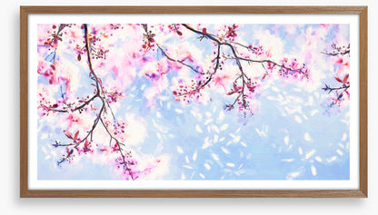 Branching into blossom