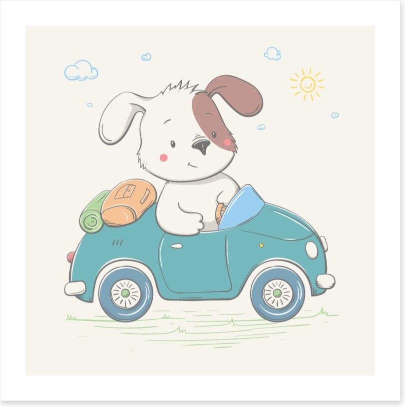 Puppy drives the car