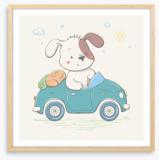 Puppy drives the car