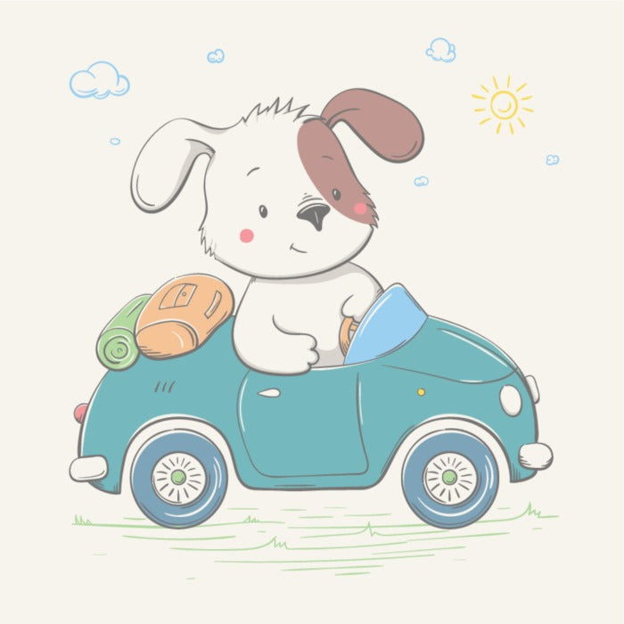 Puppy drives the car