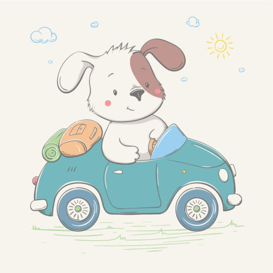 Puppy drives the car