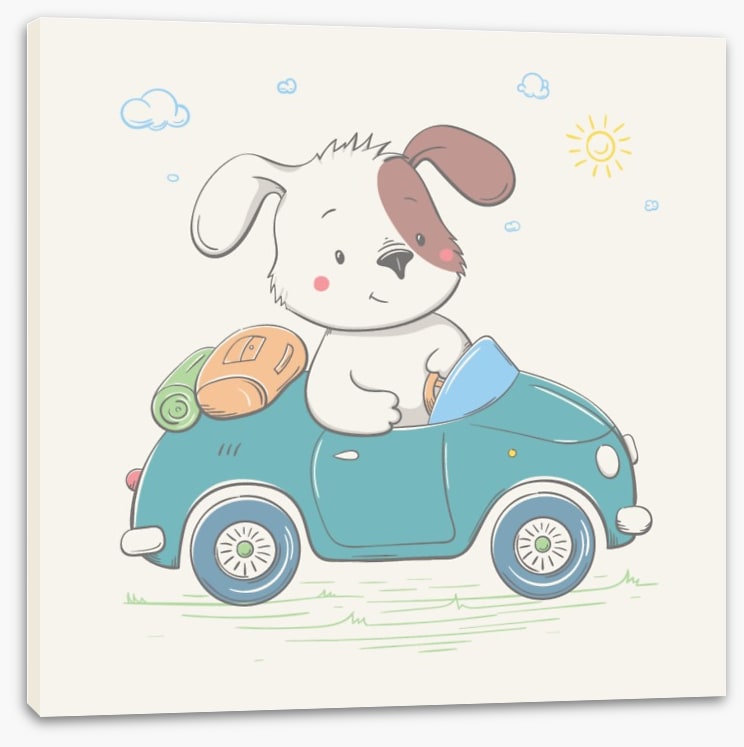 Puppy drives the car