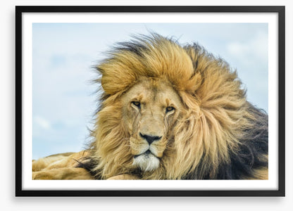 His Highness