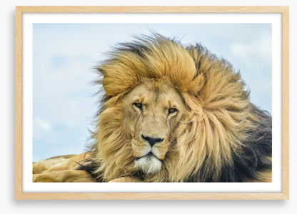 His Highness