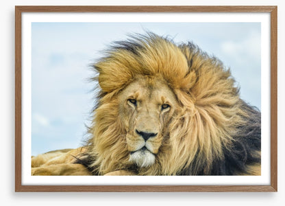His Highness
