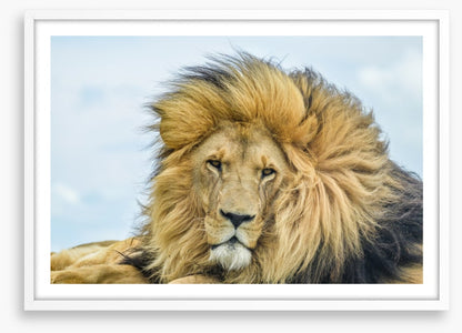 His Highness