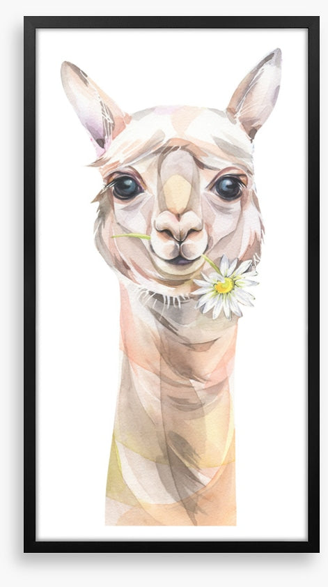Chamomile llama