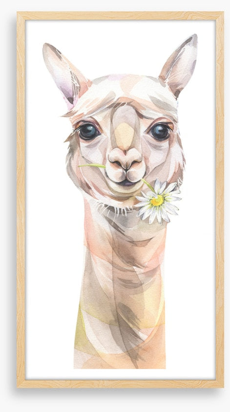 Chamomile llama