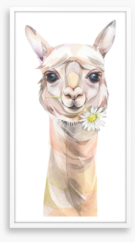 Chamomile llama