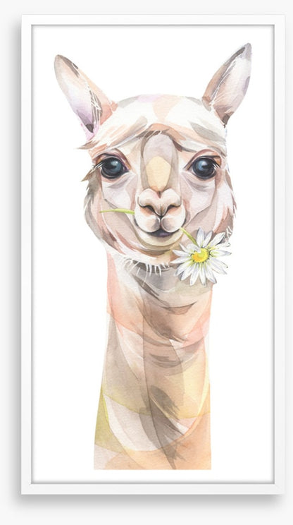 Chamomile llama
