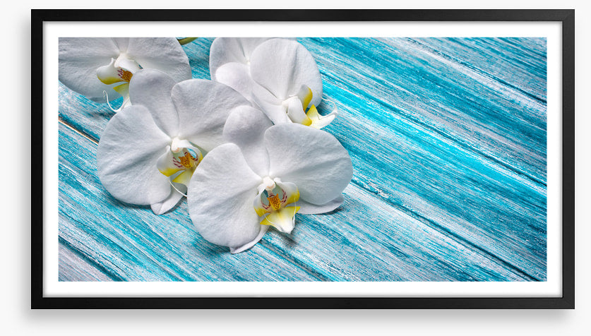White orchid blues