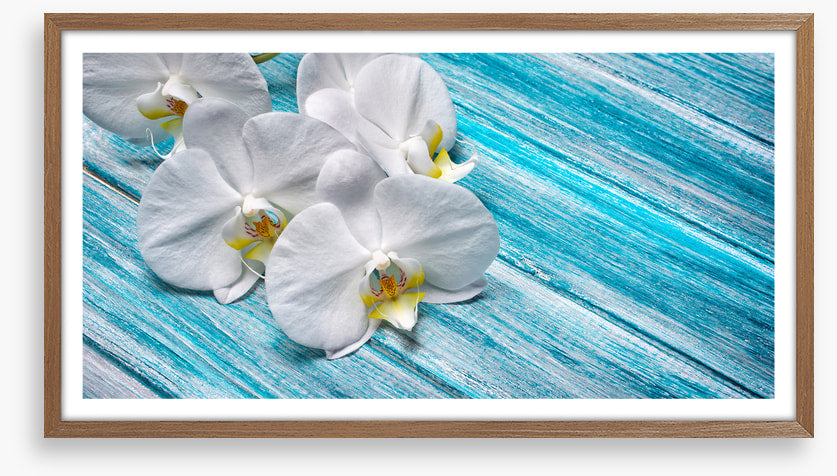 White orchid blues