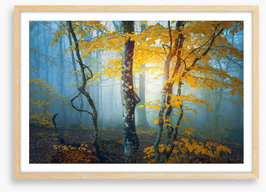 The last leaves