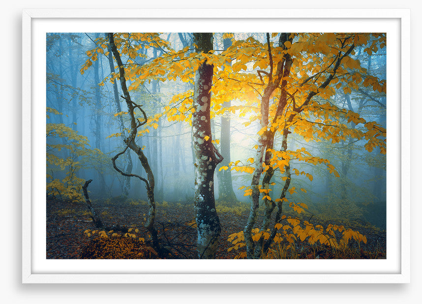 The last leaves