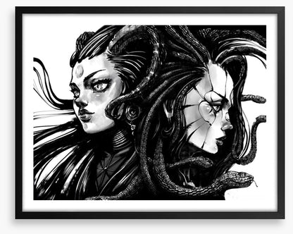 Twins of Medusa