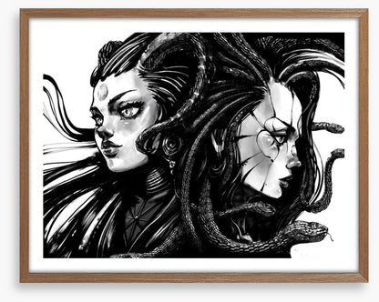 Twins of Medusa