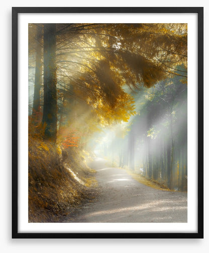 Through the sun rays