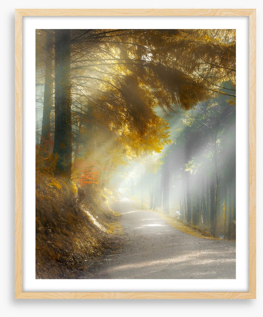 Through the sun rays