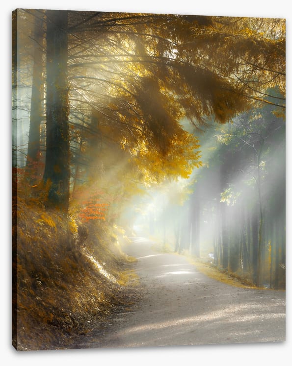 Through the sun rays