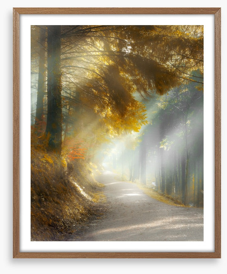Through the sun rays
