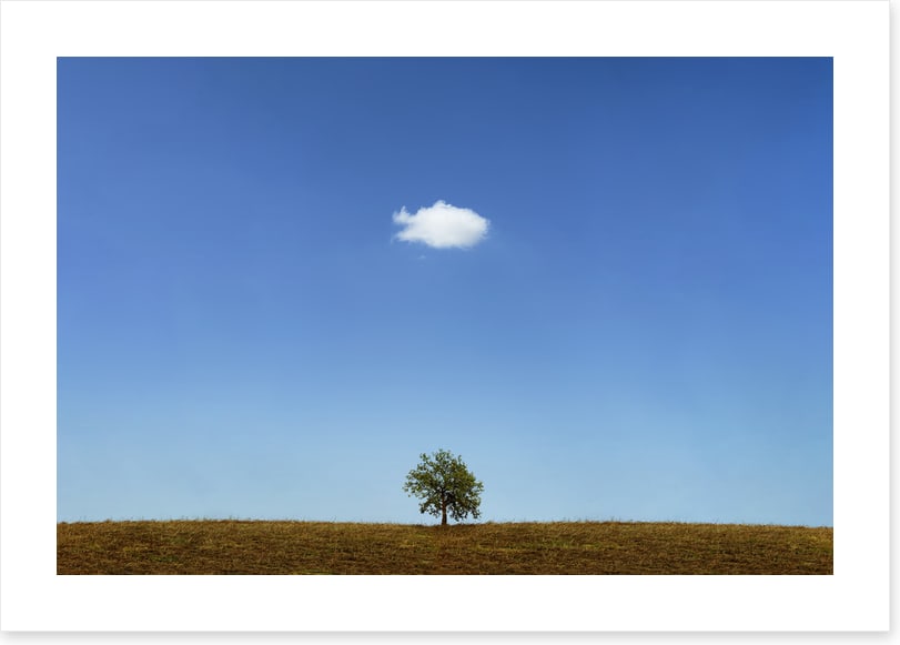 Below the cloud