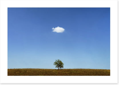Below the cloud