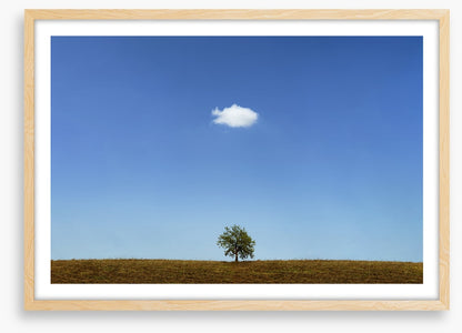 Below the cloud