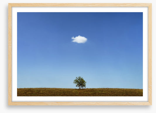 Below the cloud