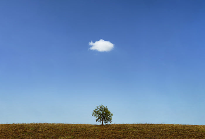 Below the cloud
