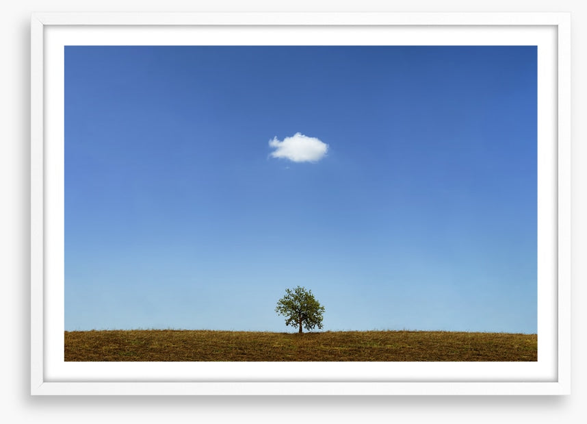 Below the cloud