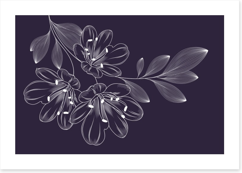 Lily trio flourish