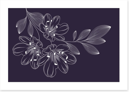 Lily trio flourish
