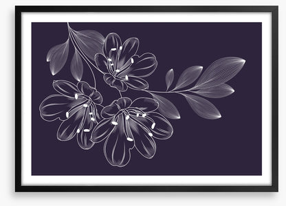 Lily trio flourish