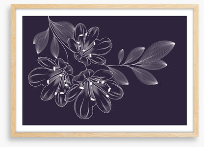 Lily trio flourish